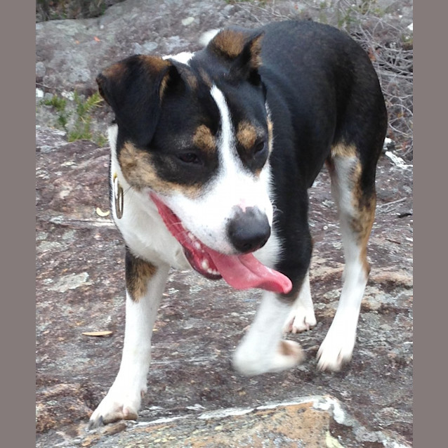 Photo of Molly