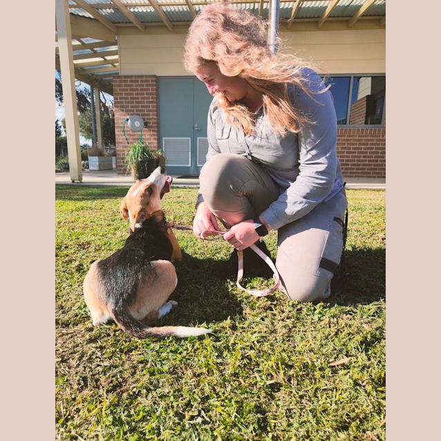 Photo of 🌷 Daisy 🌷C04482