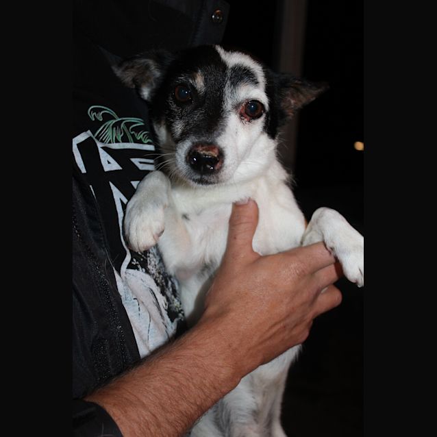 Photo of Cheech And Chong