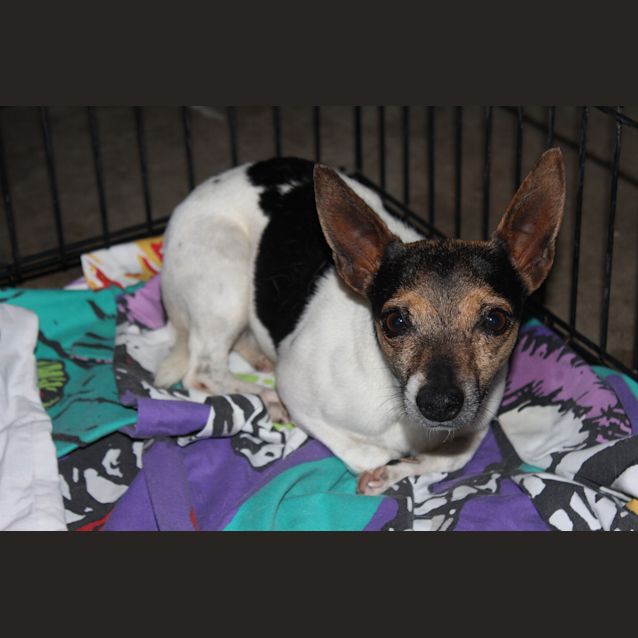 Photo of Cheech And Chong