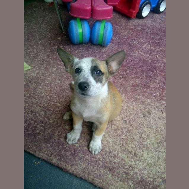 Photo of Princess