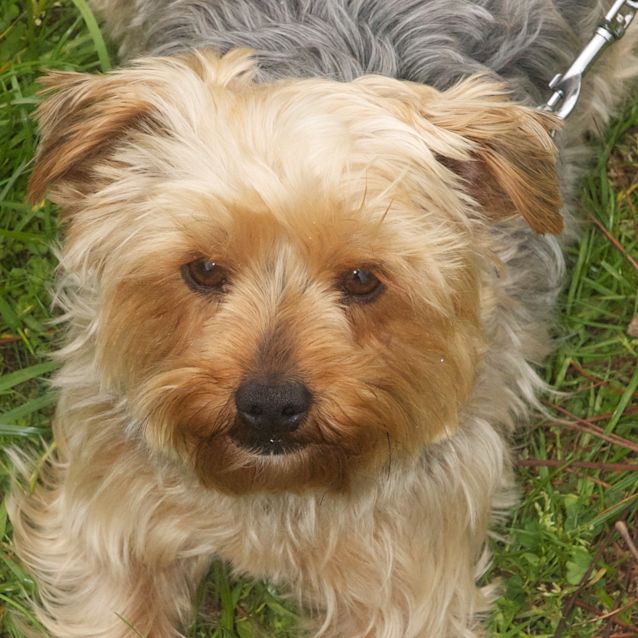 Photo of Annabelle