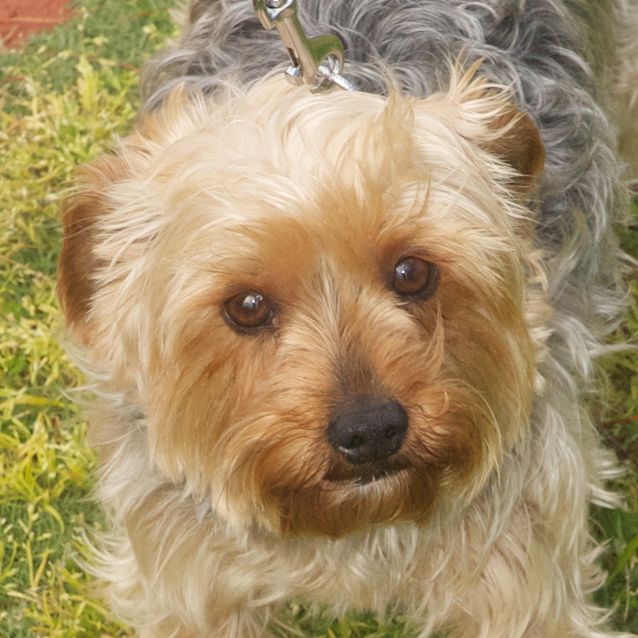Photo of Annabelle
