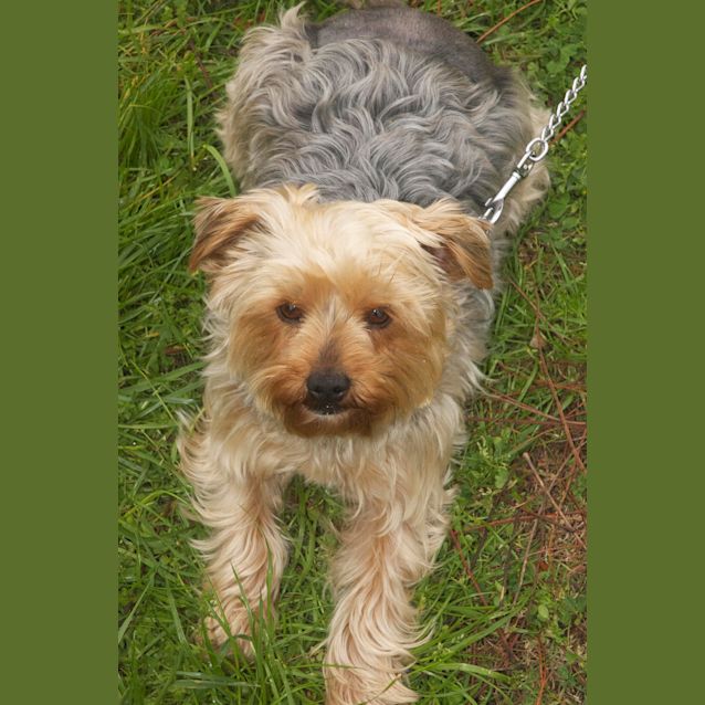 Photo of Annabelle