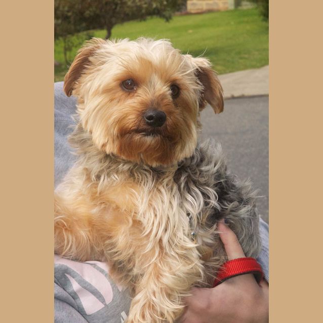 Photo of Annabelle