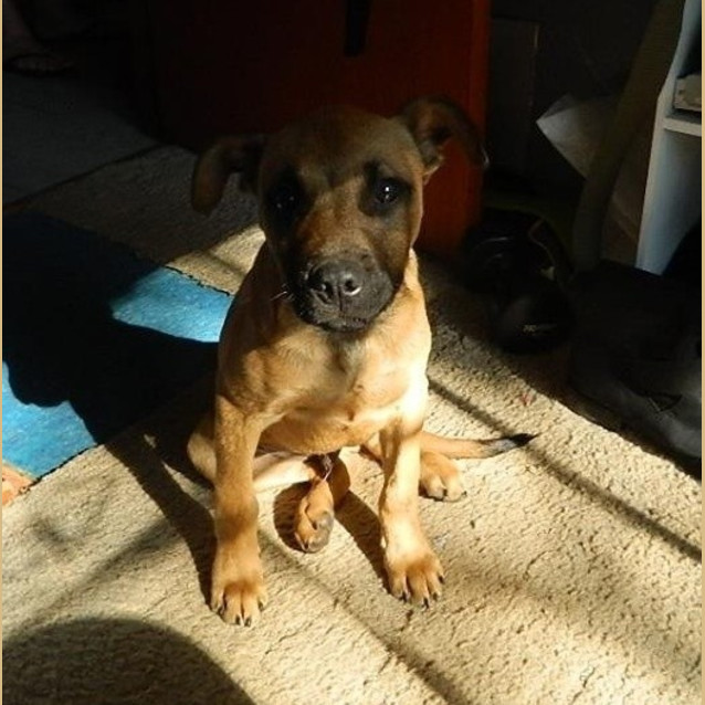 Photo of Chase