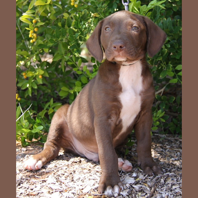 Photo of Floyd (D2516) 