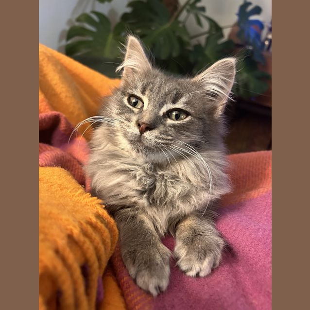 Photo of Sir Boris