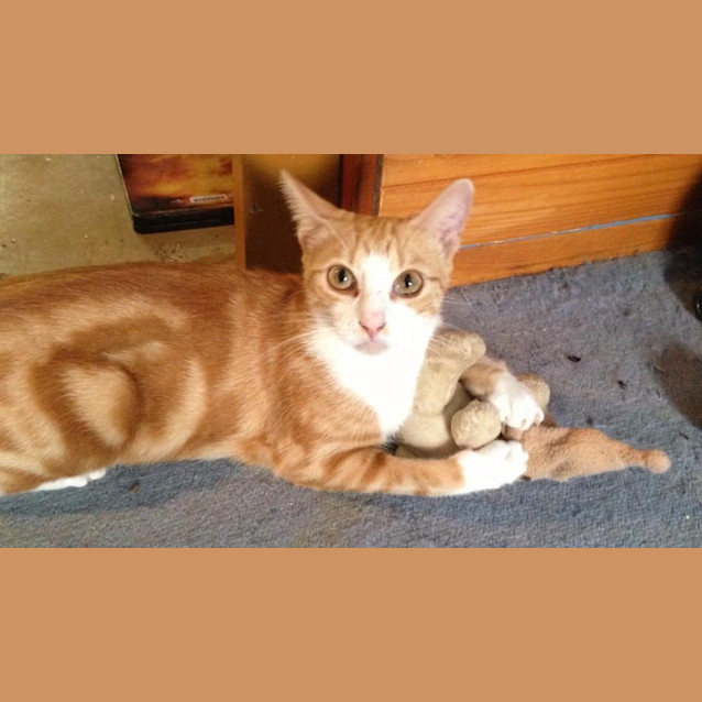 Photo of Amora