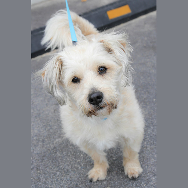 Photo of Charlie Bear
