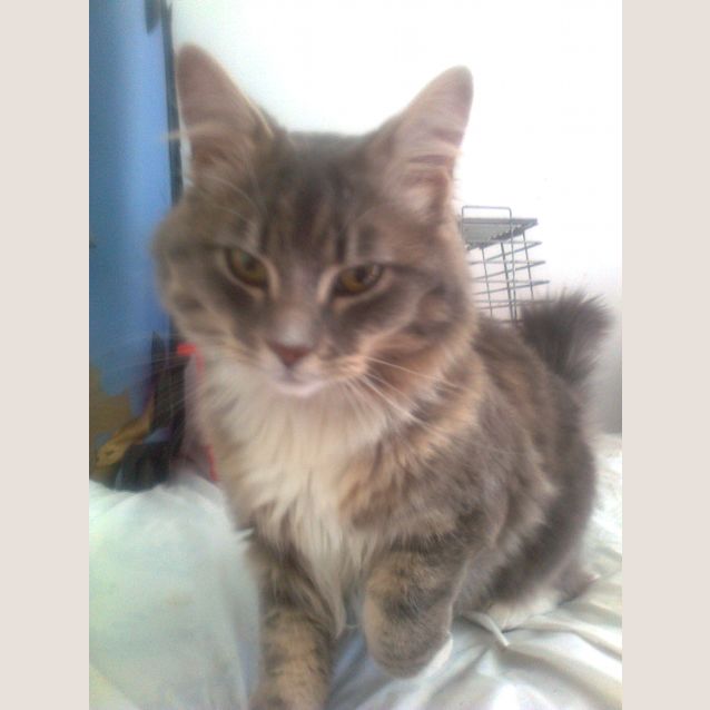 Photo of Thomas 