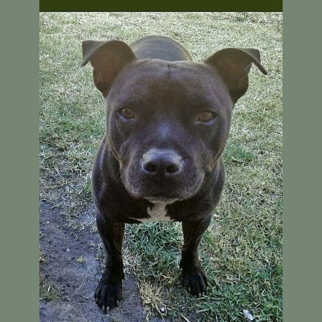 Photo of Max