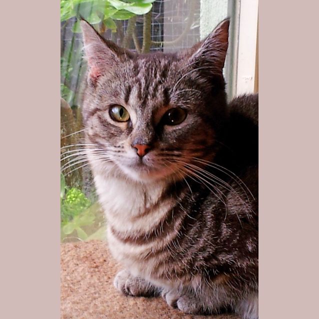 Photo of Blossom