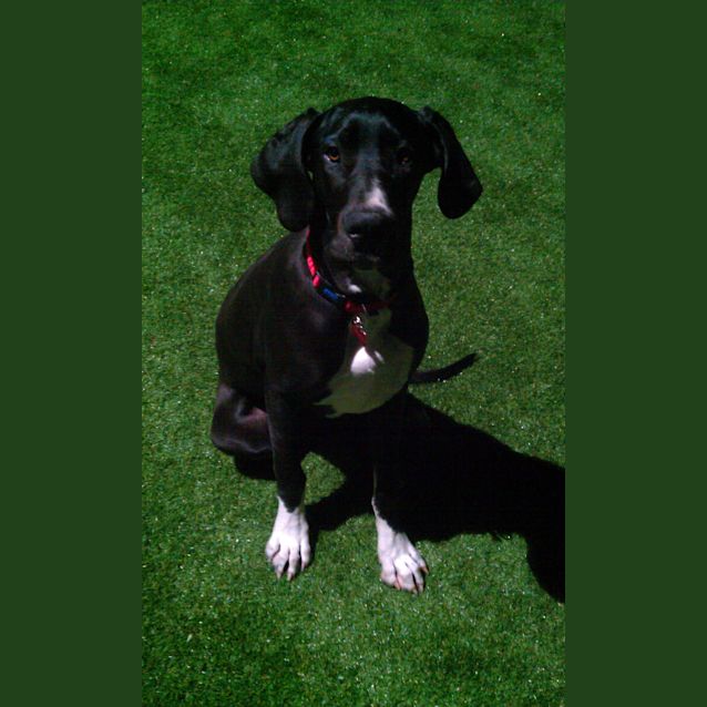 Photo of Tessa