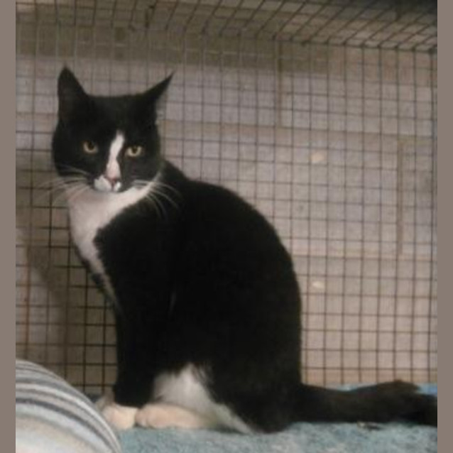 Photo of Buster
