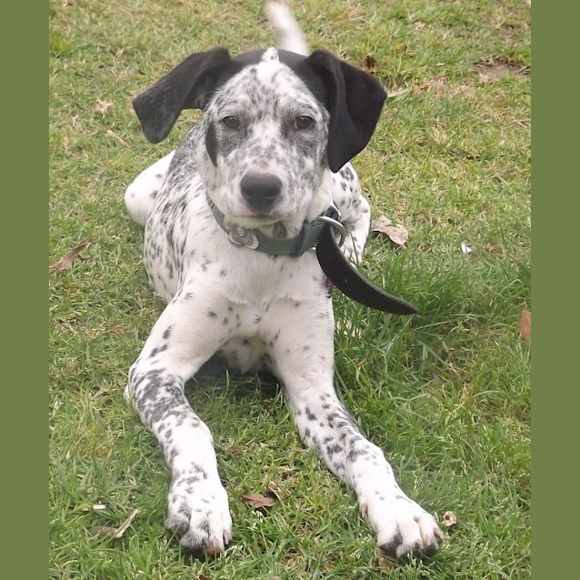 Photo of Tilly
