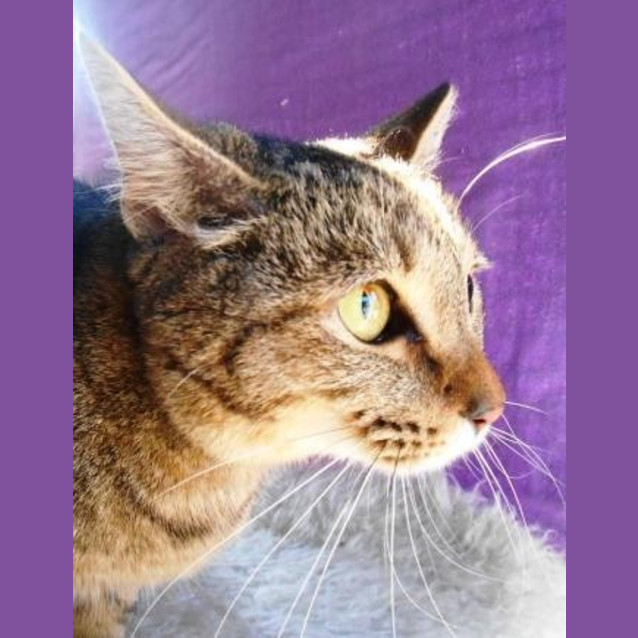 Photo of Tia
