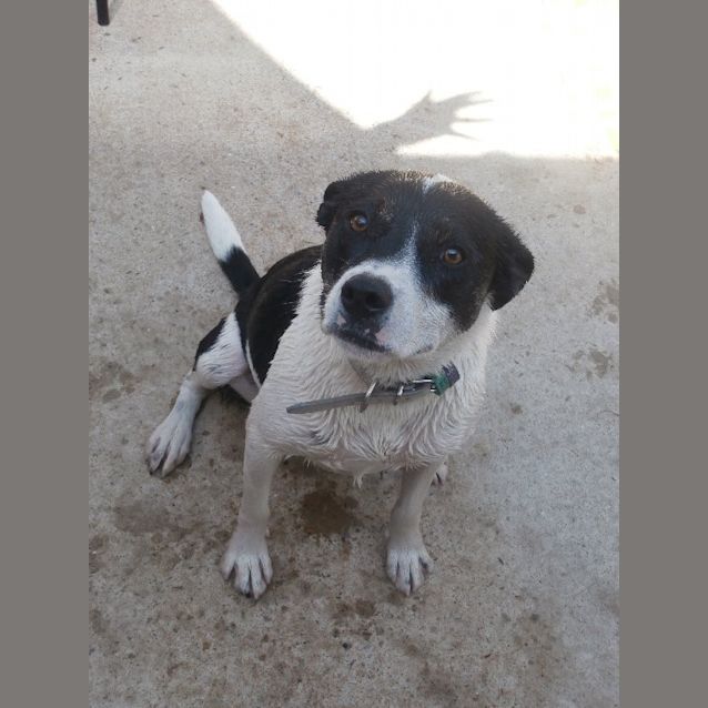 Photo of Bindi