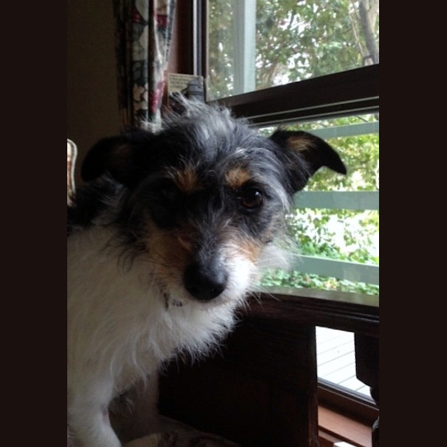 Photo of Sherry