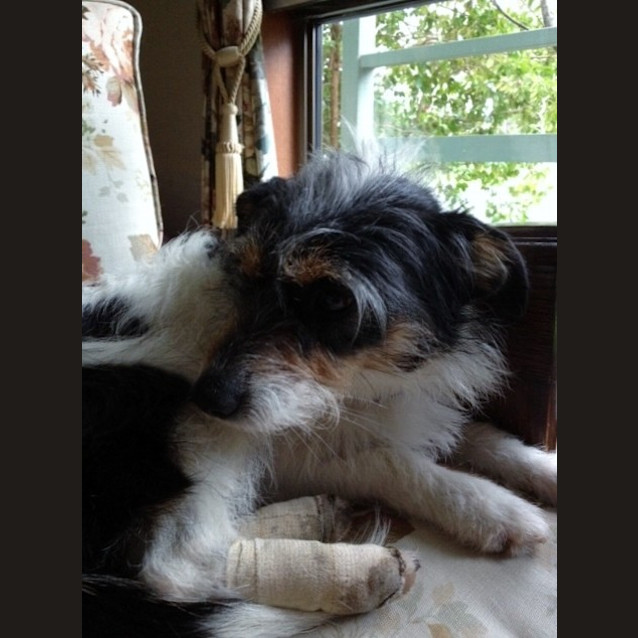 Photo of Sherry