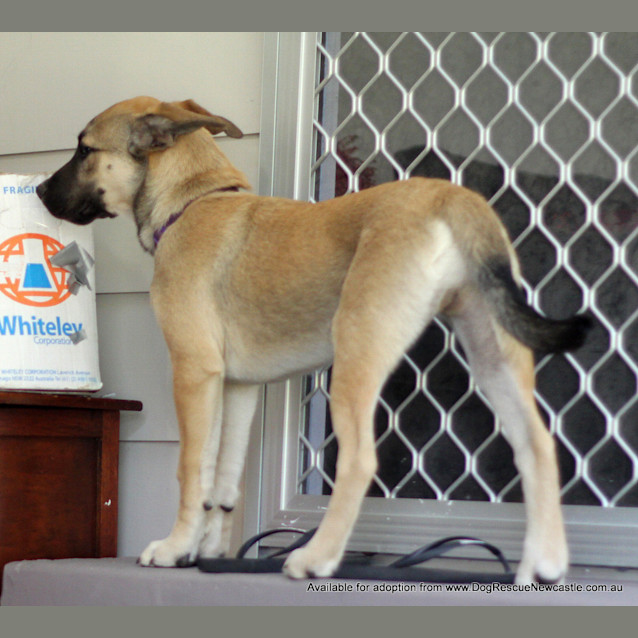 Photo of Chaos (On Trial 3/10/13)