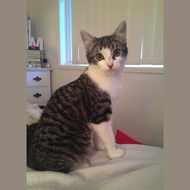 Photo of Freya
