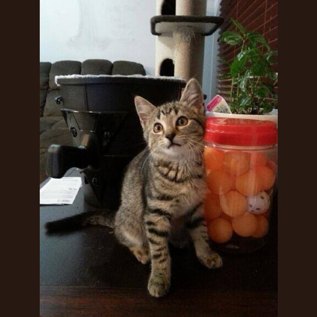 Photo of Tinka