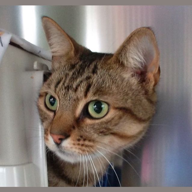 Photo of Turbo