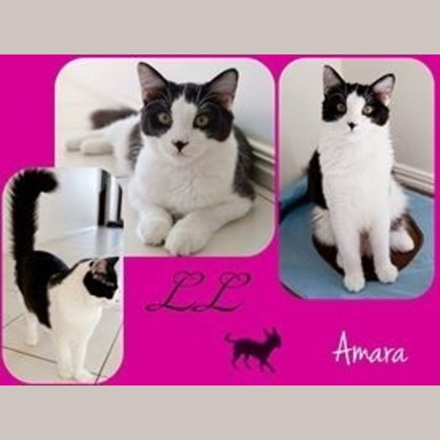 Photo of Amara 