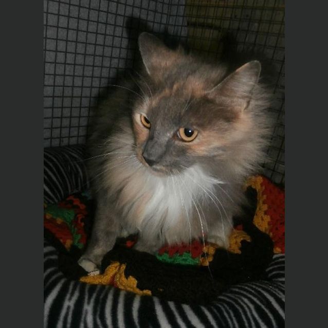 Photo of Molly