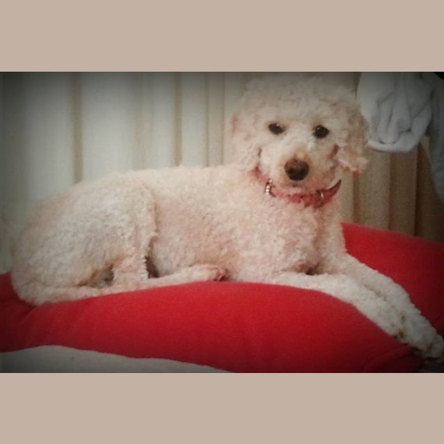 Photo of Mitzy