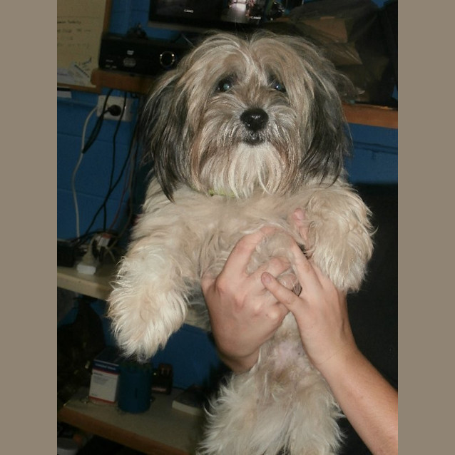 Photo of Max