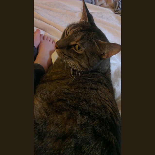 Photo of Wendy