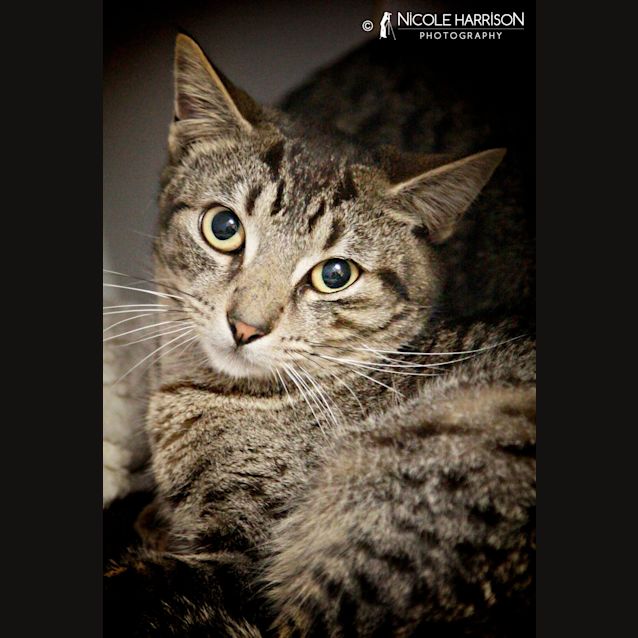 Photo of Little Jerry