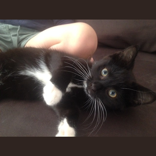 Photo of Bilbo