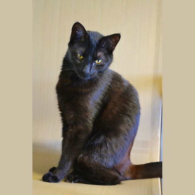Photo of Breeze
