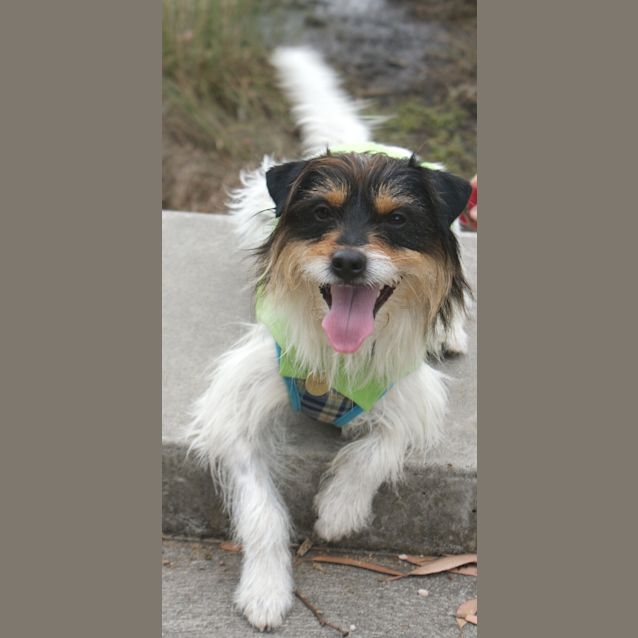 Photo of Murphy
