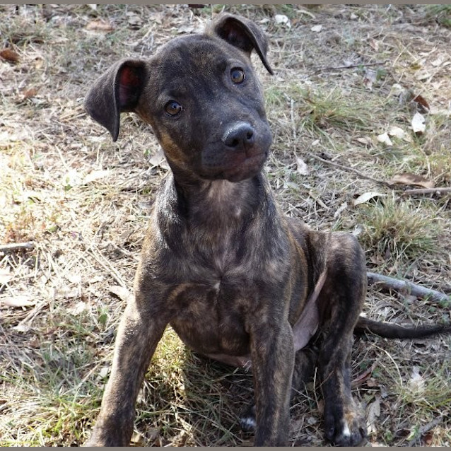 Photo of Dimmy