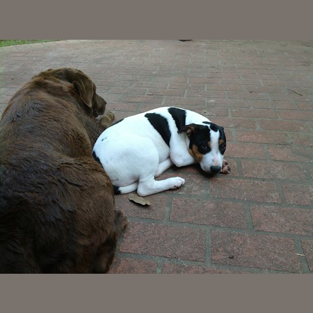 Photo of Cindy