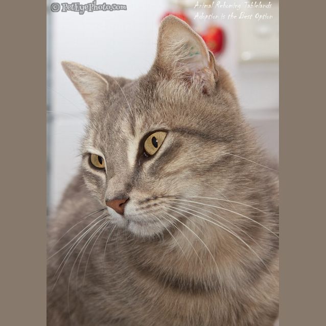 Photo of Angel