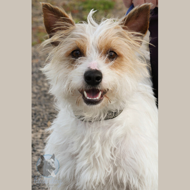 Photo of Wizard (D479)