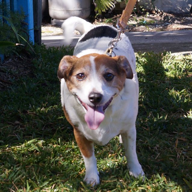 Photo of Bronco