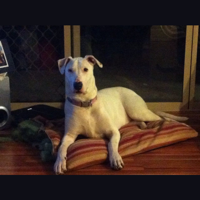 Photo of Maya