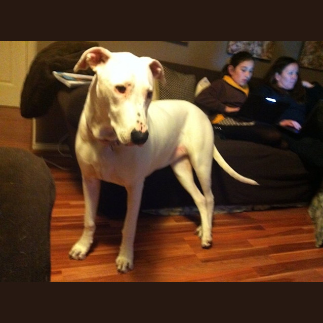 Photo of Maya