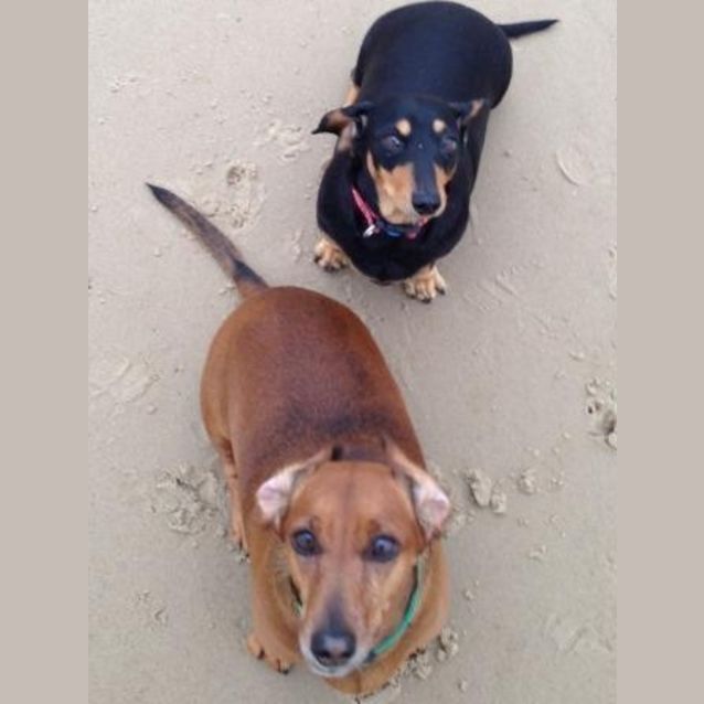 Photo of Ruby And Coco