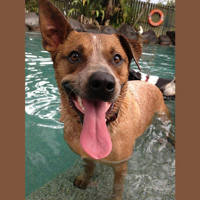 Photo of Cash