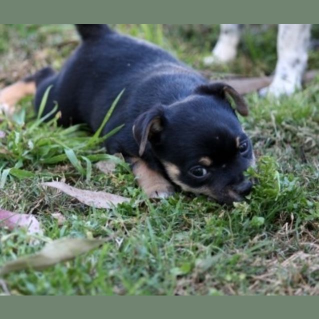 Photo of Adorable Annabelle