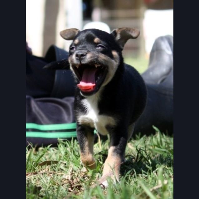 Photo of Adorable Annabelle