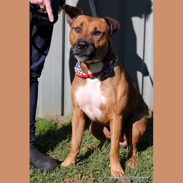 Photo of Roki