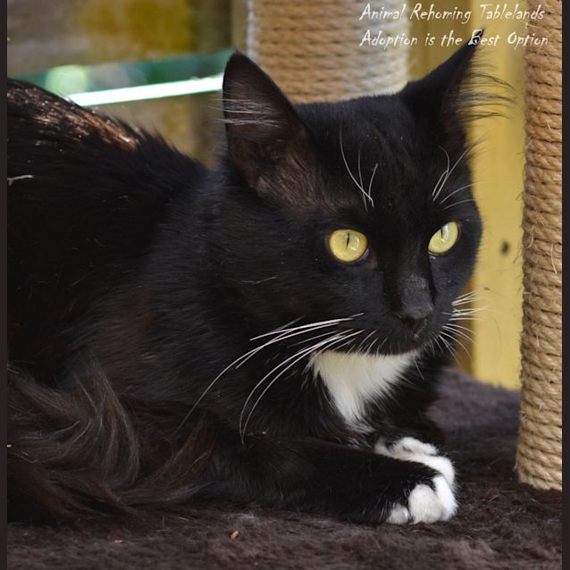 Photo of Moccha